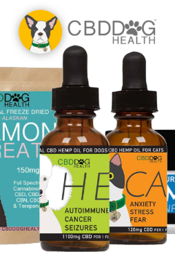 cbd oil with turmeric for dogs