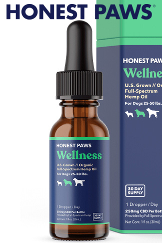 cbdistillery cbd oil for dogs