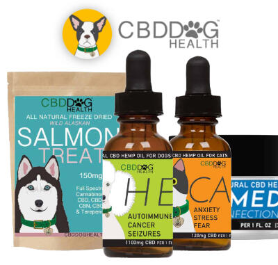 Calm –550 mg Full Spectrum Hemp Extract (CBD) for Cats