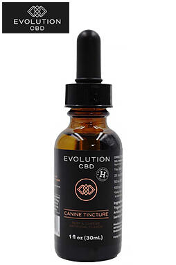 Evolution Canine CBD Tincture