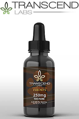 Premium CBD Oil For Pets