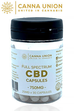 CBD Oil Pills 25mg x 30 counts