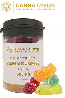 CBD Vegan Gummies 500mg 20ct