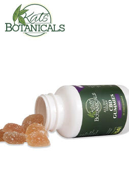 Berry CBD Gummies