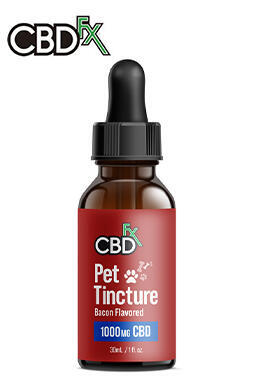 CBD Oil For Pets – Large Breeds 1000mg