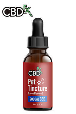 CBD Oil for Pets – Large Breeds 2000mg (Extra Strength)
