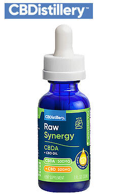 Raw Synergy CBDA + CBD 1:1 Tincture – 1000mg – 30ml