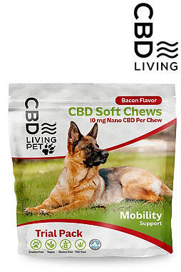 CBD Dog Chews Bacon Flavor - Mobility Support 10mg 5ct