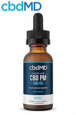 CBD PM for Sleep - Mint - 500 mg - 30 ml