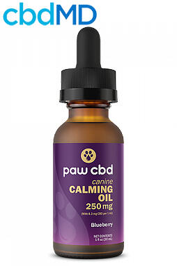 250mg - Calming Tincture for Dogs