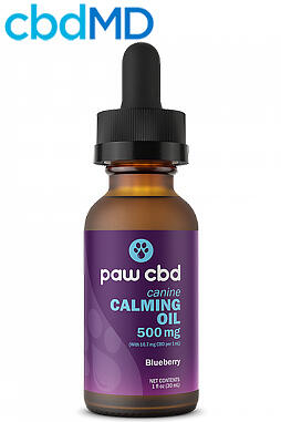500mg - Calming Tincture for Dogs