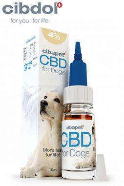CBD Oil 4% For Dogs