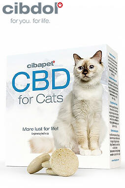 CBD Pastilles For Cats