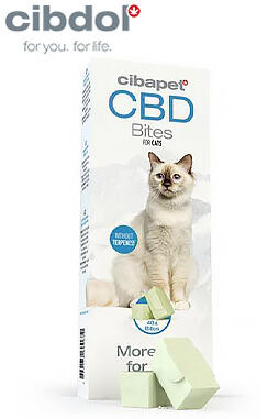CBD Cat Treats