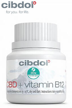 CBD Vitamin B12 Formula (600mg)