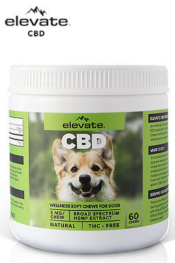 CBD Wellness Soft Chews for Dogs 5mg 60ct