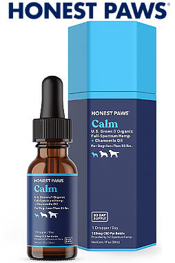 CBD Oil for Dogs - Calm 125mg