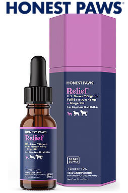 CBD Oil for Dogs - Relief 125mg