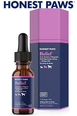 CBD Oil for Dogs - Relief 250mg