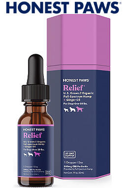 CBD Oil for Dogs - Relief 500mg