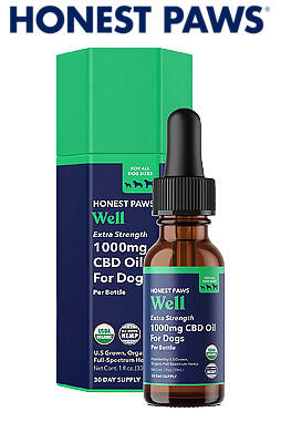 Extra Strength CBD Oil for Dogs - Well 1000mg
