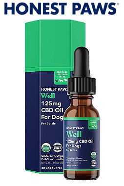 CBD Oil for Dogs - Well 125mg