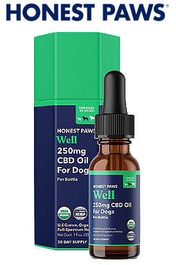 CBD Oil for Dogs - Well 250mg