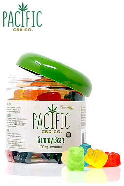 500mg CBD Gummy Bears