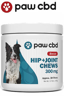 CBD Hip & Joint Soft Chews for Dogs 300mg 30ct
