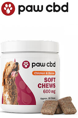 Pet CBD Oil Soft Chews for Dogs 600mg 30ct