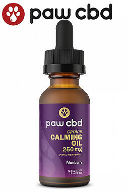 CBD Oil Calming Tincture for Dogs 250mg 30ml