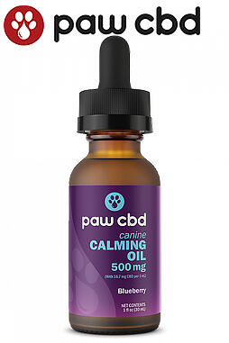 CBD Oil Calming Tincture for Dogs 500mg 30ml
