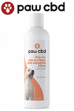 Itchy Pup CBD Dog Shampoo Oat and Honey