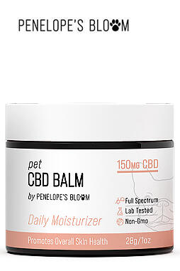 CBD Pet Balm for Dogs & Cats 150mg