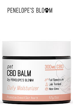 CBD Pet Balm for Dogs & Cats 300mg