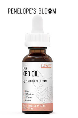 CBD Oil Tincture For Dogs and Cats 250mg