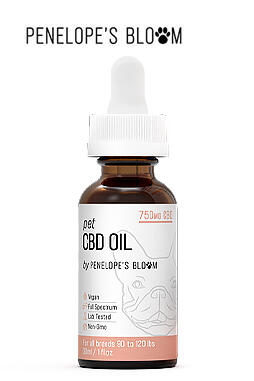 CBD Oil Tincture For Dogs and Cats 750mg