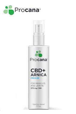 CBD+Arnica Spray 375mg