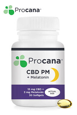 CBD PM Night-Time Softgels 450mg