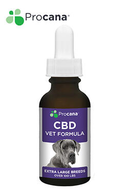 CBD For Dogs (Extra Large Breed) Tincture 240mg