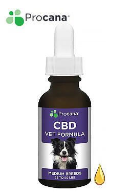 CBD For Dogs (Medium Breed) Tincture 180mg