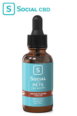 Social - CBD Pet Tincture - Broad Spectrum Bacon - 500mg