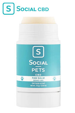 Social - CBD Pet Topical - Paw Balm - 200mg