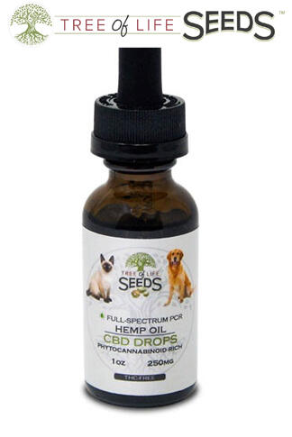 CBD Oil Pet Drops