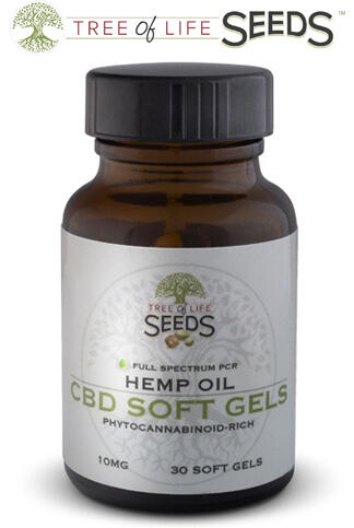 CBD Softgels Regular Strength