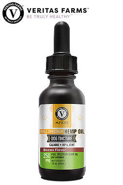 Pet Tincture Infused With Full Spectrum Hemp Oil 250mg