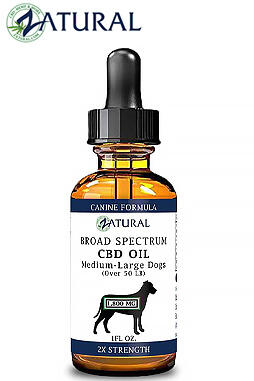 Broad Spectrum* CBD Oil For Dogs 1800mg