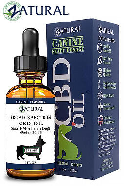 Broad Spectrum* CBD Oil For Dogs 375mg