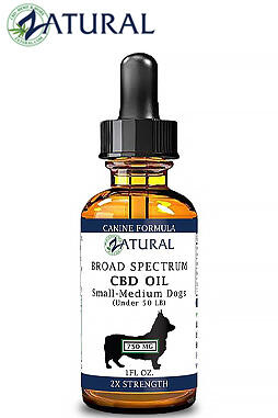 Broad Spectrum* CBD Oil For Dogs 750mg