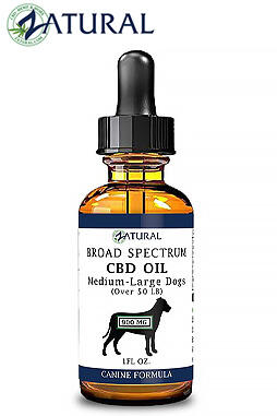 Broad Spectrum* CBD Oil For Dogs 900mg